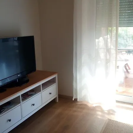Buzavirag Haziko *